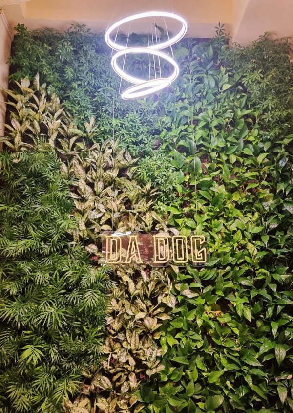 thumb90838906cab8abd64ac81915da546b06_1721723082_23.jpg